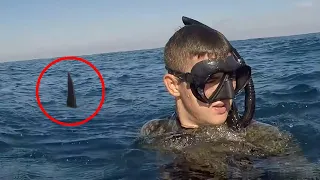 30 Scariest Shark Encounters of The Year