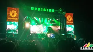 Horace Andy Uprising Festival 2019 clip