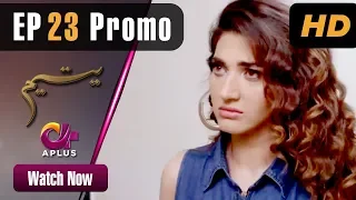 Pakistani Drama | Yateem - Episode 23 Promo |  Aplus | Sana Fakhar, Noman Masood, Maira Khan| C2V1