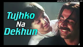 Tujhko Na Dekhun To Ji Ghabrata | Hindi Song | Jaanwar | Akshay Kumar | Udit Naraya