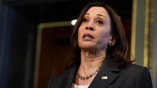 Kamala Harris 'squibbed it' when it came to discussions on fighter jets for Ukraine