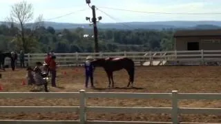 Showmanship 14 to 18 Tristate Futurity Show Class Winner