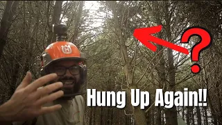 How I Deal With Hung Up Trees On My Own
