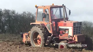 IH 966 Ploughing w/ 5-Furrow Plough | Vintage Field Day 2023