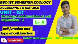 L-4 BSc 1st semester zoology unit 1st cell junctions and type of cell junctions by Ashish