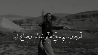 حالة وتساب // يما انا الي ريدو عقلاتو شغل أيدو .. 😹💋