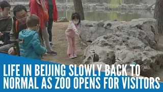 Coronavirus: Life in Beijing slowly back to normal as zoo opens for visitors