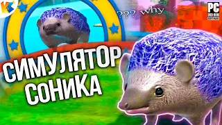 СИМУЛЯТОР НАСТОЯЩЕГО  ЁЖИКА СОНИКА | Sanix the Edgehog Adventure 2DX