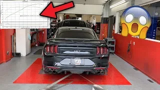 MY MUSTANG GT MADE THIS MUCH HORSEPOWER!