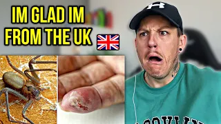 Brit Reacts To | The Most Dangerous Animals In America 🇺🇸😵