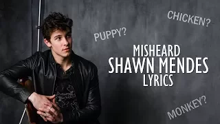 Funniest Misheard Shawn Mendes Lyrics