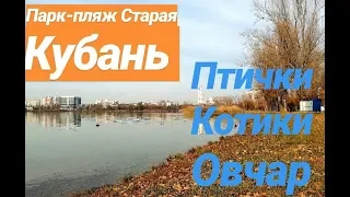 ПАРК-ПЛЯЖ СТАРАЯ КУБАНЬ/ КРАСНОДАР/ НАЕДИНЕ С ПРИРОДОЙ