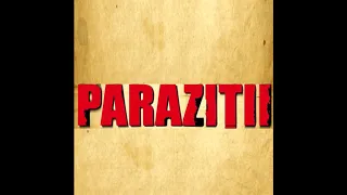 Parazitii - Am Furat un Negativ (live in Germania)
