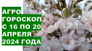 Агрогороскоп с 16 по 20 апреля 2024 года Agrohoroscope from April 16 to April 20, 2024