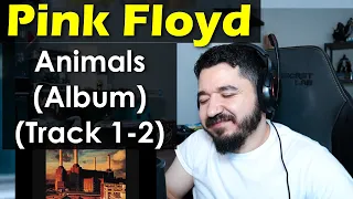 PINK FLOYD - ALBUM Animals (Tracks 1-2) | FIRST TIME REACTION PINK FLOYD ANIMALS ALBUM