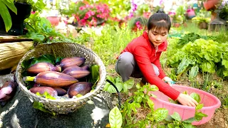 Harvesting Wild Banana Flower & Vegetable Goes to market sell - Live with nature | Nhất My Bushcraft