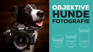 Welches Objektiv für welches Motiv? Lass uns über Objektive in der Hundefotografie reden