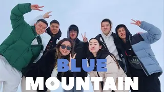КАНАДА ВЛОГ l Cпонтанная поездка с друзьями в BLUE MOUNTAIN