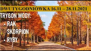 DWUTYGODNIÓWKA - 16.11- 28.11 - RAK, SKORPION, RYBY