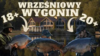 Wrześniowe karpie z Wygonina (20kg+ 19kg+ 18kg+)