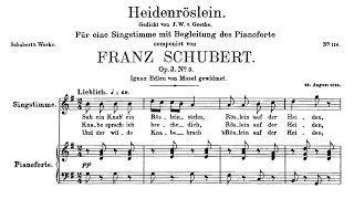 Schubert: Heidenröslein. D 257 - Peter Schreier, Walter Olbertz, 1965 - MHS 3380