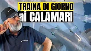 🦑TRAINA di GIORNO ai CALAMARI