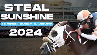 Steal Sunshine 2024 Gulfstream Mile Betting Review