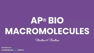 AP Bio: Macromolecules