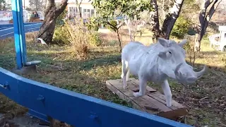 東山動植物園のモノレール列車