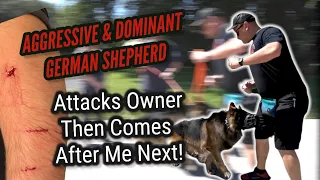 Aggressive & Dominant German Shepherd Attacks Owner Then Comes After Me!