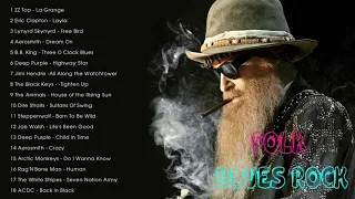 FOLK BLUES ROCK - ZZ TOP, ERIC CLAPTON, LYNYRD SKYNYRD, AEROSMITH,B B BKING,DEEP PURPLE,JIMI HENDRIX