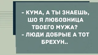 - Кума, а ты знаешь, шо я любовница твоего мужа? Сборник свежих анекдотов! Юмор!