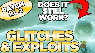 10 Glitches & Exploits TESTED after Patch 1.1.2 in Zelda Breath of the Wild | Austin John Plays