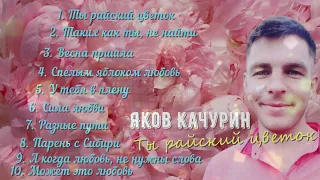 ТОП САМЫХ КРУТЫХ ПЕСЕН ОТ АВТОРА "♫♬ АЛЬБОМ 2023 ♫♬ Яков Качурин