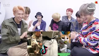 BTS REACTION: Cats being..CATS😼~Tiktok Compilation