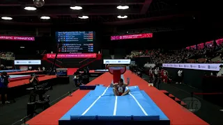 ABDELRAHMAN Ahmed (EGY) - 2021 Artistic Worlds, Kitakyushu (JPN) - Qualifications Vault 1