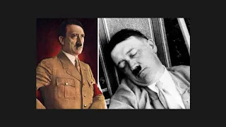 How did HITLER rise to POWER?