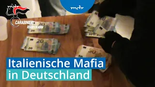 Organisierte Kriminalität: Infotag über Mafia in Deutschland | MDR THÜRINGEN JOURNAL | MDR