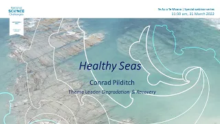 Webinar: Healthy Seas