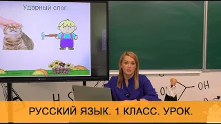 Урок "Ударение". Русский язык. 1 класс. Онлайн школа "Стоик" от CleverOne.