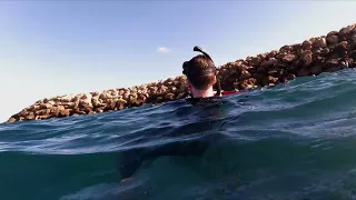 fun on the lafeet scooter large snorkeling group, getting down to 7.5mt omeo wreck dive trail