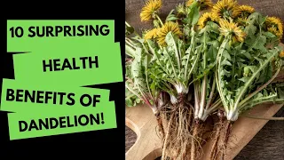 10 Surprising Health Benefits of Dandelion!