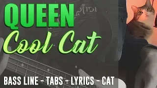 Queen - Cool Cat /// BASS LINE [Play Along Tabs - Lyrics - 🐱]