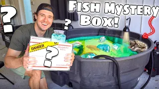 Don’t Buy MYSTERY FISH BOX off the web… (what’s inside?)