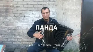 Мы бежим с тобой, как будто от гепарда ♫ ♫ НА БАЯНЕ ...