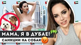 ВСЕ ЧТО НУЖНО УВИДЕТЬ В ЭМИРАТАХ!)) ОТВЕТ БЫВШЕМУ МУЖУ!