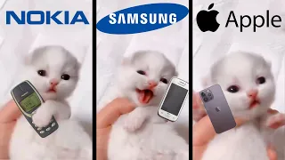 Cute Kitten Meows but famous phone ringtones