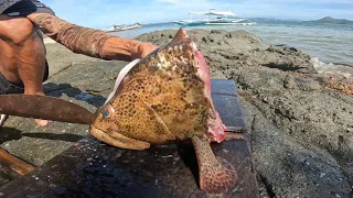 Pinakamahal na Sinampalukan at Inihaw LOBA or Marble grouper