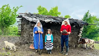 Nomadic Life in the Mountains: Repairing Wooden Shelter to Protect Calves from Hail and Rain