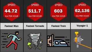 Speed Comparison: Fastest Things